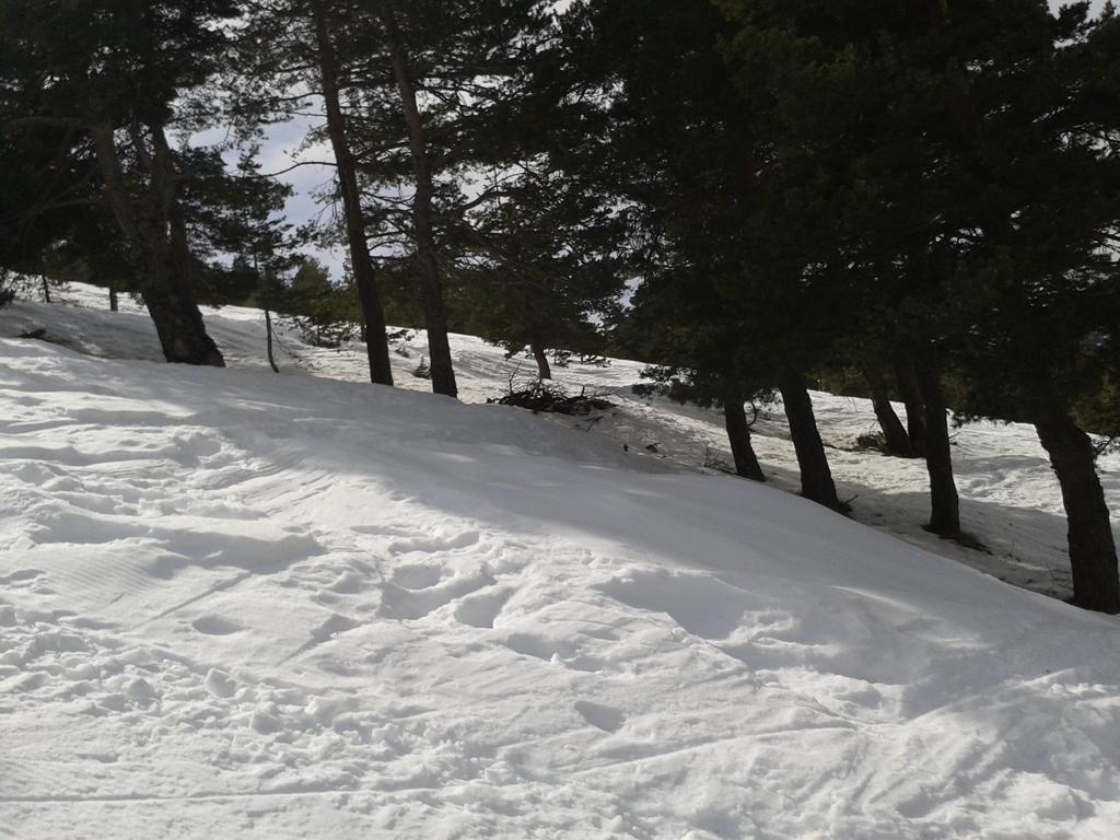 Apartment Face Aux Pistes Греолиер ле Неж Екстериор снимка